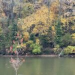 Group logo of Peacewalking